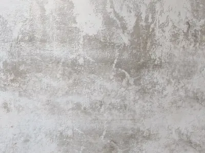 plaster 445 Texture