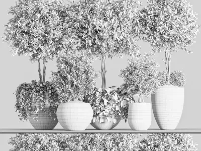 indoor plant Set 2 3D model