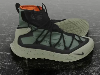 NIKE ACG TERRA ANTARKTIK SUMMIT CYBERPUNK 3D BOOTS Low-poly 3D model
