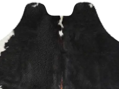 Black and White Cowhide Rug A27230 3D model