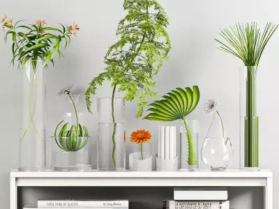 Decorative plant set-17 3D model