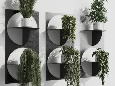 wall plant set Indoor plant 324 plants in on a shelf Low-poly 3D model