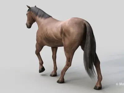 Horse PRO - Dark Brown 3D model