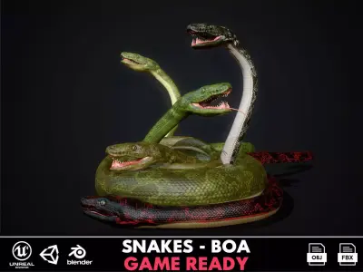 Boa - Game Ready three snakes Low-poly 3D model