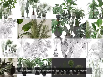 20 Photorealistic Flowers for Interiors - set 120 123 124 143 3D Model Collection