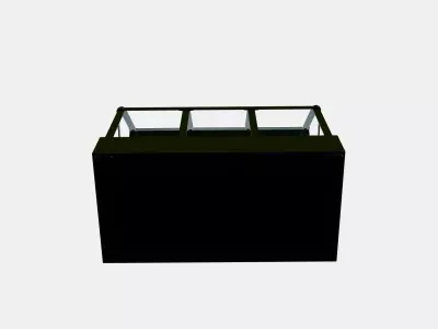 SENAPSKAL An ornamental plant house 3D model