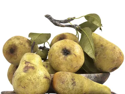 bowl of pears 3D model