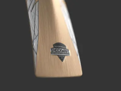 Gray Nicolls Cricket Bat 3D model