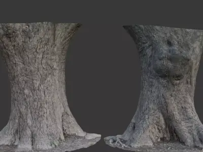 Realistic 3D Scanned Wide Tree Trunk  Low-poly 3D model
