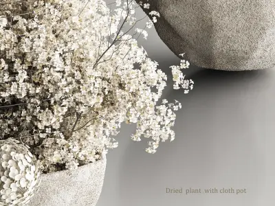 Dried plant with cloth pot 3D model