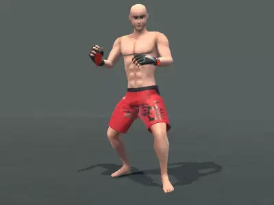 MMA Fight Animations  Low-poly 3D model