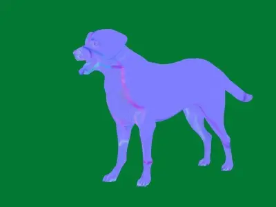 Appenzeller Sennenhund Dog 3D model