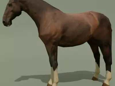 LowPoly Horse C Liver Chestnut Low-poly 3D model