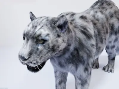 Realistic Fur Leopard 3D Model NO RIG Low-poly 3D model