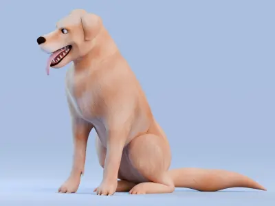 Low poly - Stylized dog - Golden Retriever Low-poly 3D model