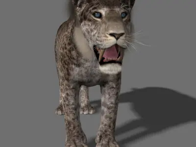 Female Sabretooth - 3d animated model 3D model