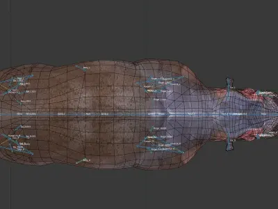 Hippopotamus Low-poly 3D model