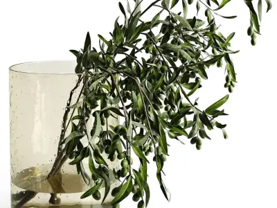 olive garden 3D model