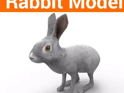 3D Rabbit low poly mode Low-poly 3D model