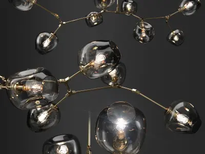 Branching bubble and Branching burst 3D model
