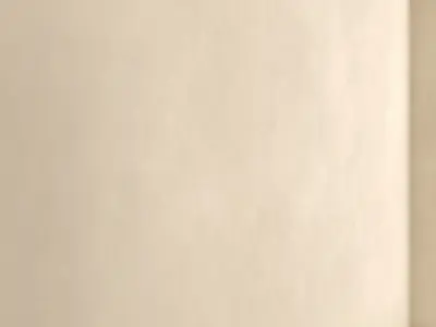 Decorative plaster 18 Texture