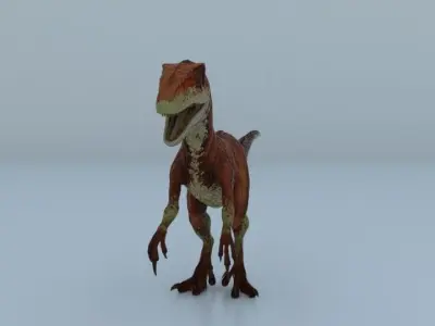 Atrociraptor dinosoure 3D model