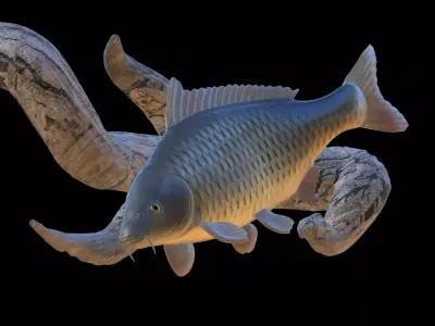CARP UNDERWATER STATUE ON THE WALL DETAILED TEXTURE 3D print model