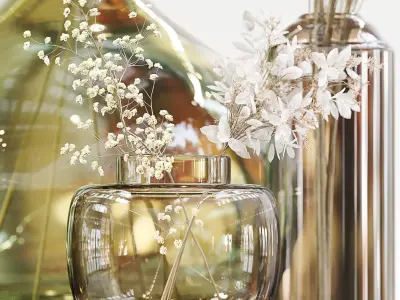 Collection dried plants 3D model