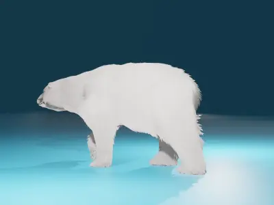 Polar Bear 3D model