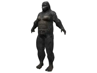 Human Rigged Gorilla Avatar Character Low-poly 3D model