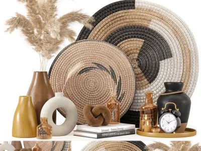 Pampas Decorative Set 04 Dried Flower 3D model