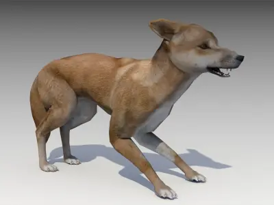 Dingo kangaroo Low-poly 3D model