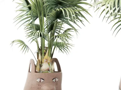 Plants Collection 140 Sabal 3D model