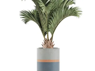 Plants Collection 129 Palm 3D model