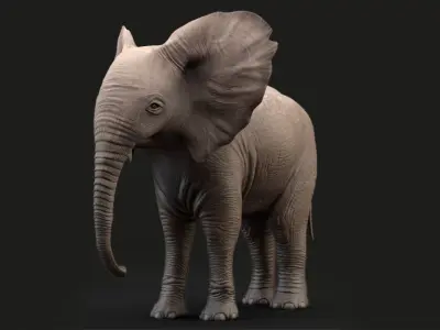 Animated Elephant  baby 8K Low-poly 3D model