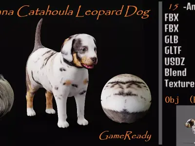 Louisiana Catahoula Leopard Puppy Dog Low-poly 3D model