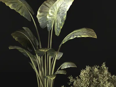 Plant Collection 001 Low-poly 3D model