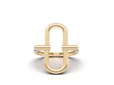 Minimal Abstract Ring 61 3D print model
