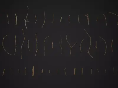 Oak And Tilia Twigs 4K Scanned Low-poly 3D model