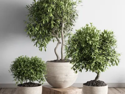 collection outdoor plant 23 - wood old vase Low-poly 3D model