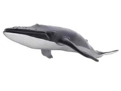 Blue Whale 3D model