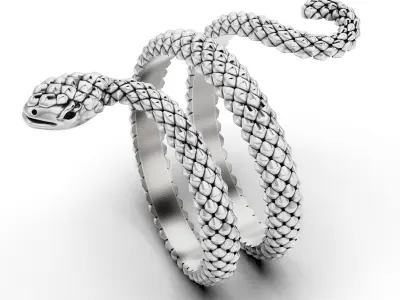 Serpent Coil Ring 3D print model