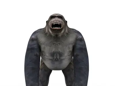 gorilla Rigged 3D Models game ready Low-poly 3D model