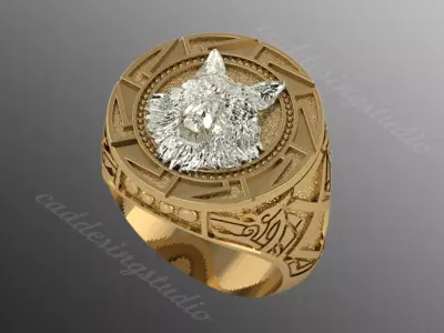 Ring od409 3D print model