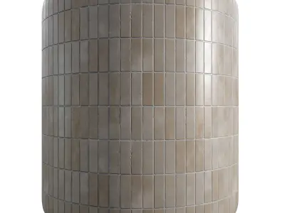 Tile Matte Porcelain Rectangle - Set 24  Texture