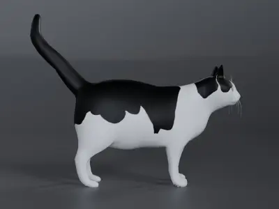 Cat rigging Low-poly 3D model