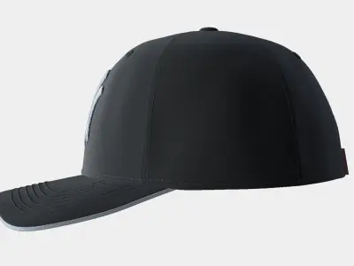 cap NY 3D model