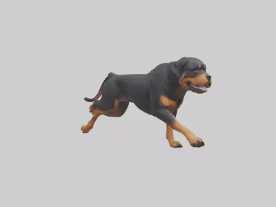 Rottweiler running model Low-poly 3D model