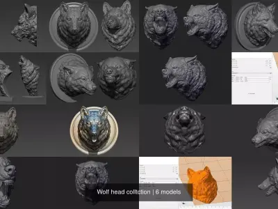 Wolf head colltction 3D Model Collection
