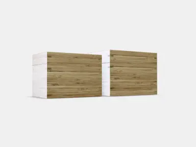 DRAGAN  -4  Low-poly 3D model